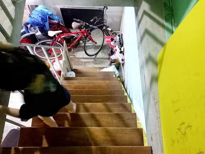 Mặt tiền đường phú thuận kinh doanh buôn bán cực đỉnh ngang lên đến 9.82m cách ngã tư phú thuận 4