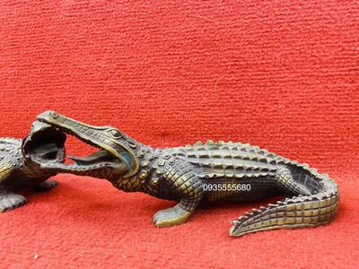 Giao lưu đôi cá sấu đồng đúc 2