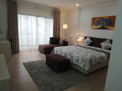 Cho thuê căn hộ 1 ngủ, 1 khách, FULL NỘI THẤT CAO CẤP, phố Yên Ninh, Ba Đình 1
