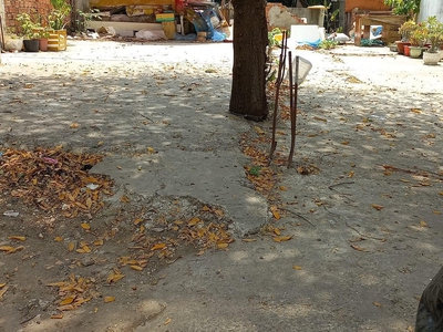 Bán đất cực khủng ngang 8.4m dài 18.8m,kế lâm văn bền phường tân thuận tây,q7,thách thức đầu tư . 1
