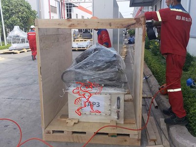 Vận chuyển kiến đỏ - Cung cấp dịch vụ đóng thùng gỗ, pallet giá rẻ Uy tín-chất lượng 4