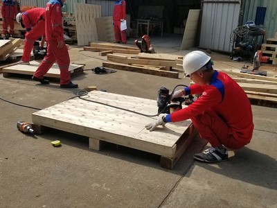 Vận chuyển kiến đỏ - Cung cấp dịch vụ đóng thùng gỗ, pallet giá rẻ Uy tín-chất lượng 6