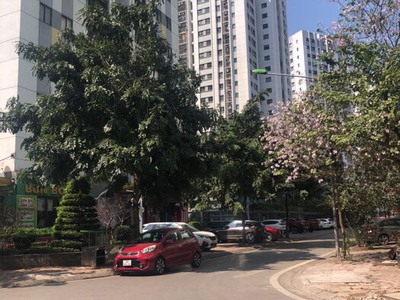 Bán nhà khu biệt thự tây nam linh đàm 65m2, mặt tiền 5m, vỉa hè kinh doanh ở chỉ 7.3 tỷ 1