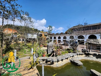 Gia chủ cần bán homestay siêu đẹp , đầy tiềm năng phát triển tại sapa. 0