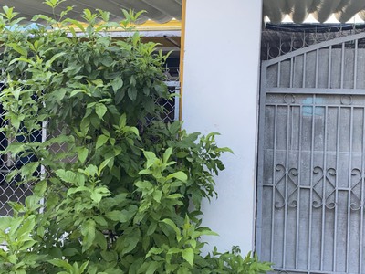Bán iphone 12prm quốc tế bản vna 10137