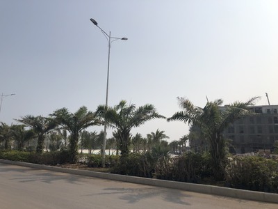 Căn Shophouse ngoại giao giá rẻ vị trí đẹp nhất Đồi Rồng Đồ Sơn. 2