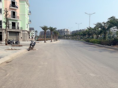 Căn Shophouse ngoại giao giá rẻ vị trí đẹp nhất Đồi Rồng Đồ Sơn. 4