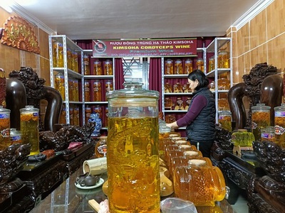 Bom rượu đông trùng hạ thảo 3 lít - Giảm đau xương khớp 3