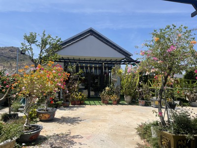 2000m2 nhà vườn trung tâm TT Thuận Nam- Hàm Thuận Nam- Bình Thuận 7