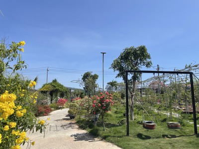 2000m2 nhà vườn trung tâm TT Thuận Nam- Hàm Thuận Nam- Bình Thuận 1
