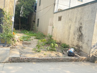 Do mua nhà vào sài gòn ở nên cần bán gấp mảnh đất xã đại hưng, mỹ đức, hà nội 3