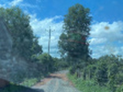 Đất vườn Bình Thuận giá chỉ từ 150k/m2,view cực đẹp, sổ riêng 1