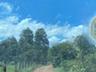 Đất vườn Bình Thuận giá chỉ từ 150k/m2,view cực đẹp, sổ riêng 2