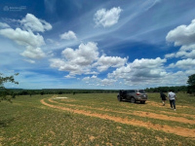 Đất vườn Bình Thuận giá chỉ từ 150k/m2,view cực đẹp, sổ riêng 3