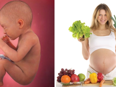 Xây dựng chế độ dinh dưỡng cho thai nhi 15 tuần tuổi đủ chất cho bé phát triển toàn diện 0