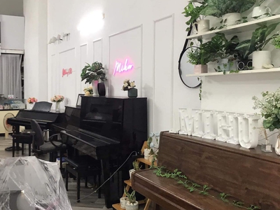 Siêu phẩm kinh doanh shophouse chân đế ecohome phúc lợi, long biên chỉ 1,7 tỷ 2