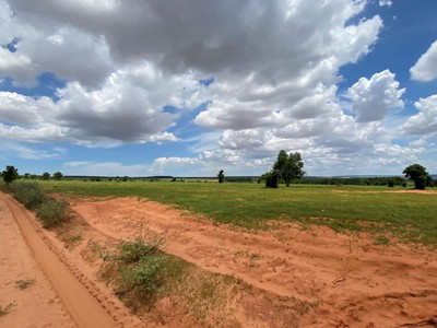 Kẹt tiền cần ra gấp hơn 3ha Bình Tân, ngay đường về sân bay Phan Thiết 1