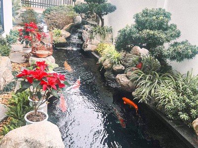 Biệt thự lô góc 2 mặt tiền đẳng cấp đường máng nước đường 10m giá 12.8 tỉ ngay ngã 4 cơ điện 1