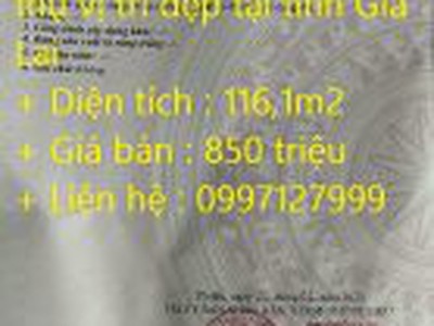Chính chủ cần bán biệt thự vị trí đẹp tại tỉnh gia lai 0