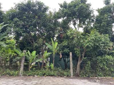 Cho thuê xưởng khu vực Phạm Văn Đồng 250m 1
