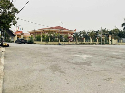 Cắt lỗ sâu đất xây biệt thự, nhà vườn 298m2 thôn đồng, nguyên khê, đông anh, hà nội 1