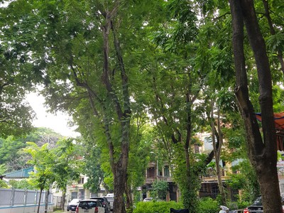 Bán gấp nhà bắc linh đàm, hai thoáng, ô tô tránh vỉa hè, kinh doanh, dt 72m x5 t giá 13 tỷ. 0