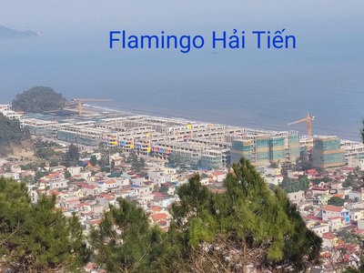 Sở hữu căn hộ khách sạn flamigo vip 5  - cắt lỗ - chỉ với 350 triệu -  chính chủ 3