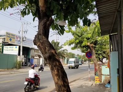 Sang nhượng mặt bằng địa chỉ: đường dt743a, kp. chiêu liêu, tân đông hiệp, dĩ an, bình dương 3