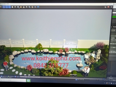 Thi công hồ cá Koi đà năng, cá Koi đà năng, nơi hội tụ tinh hoa nghề đ 4