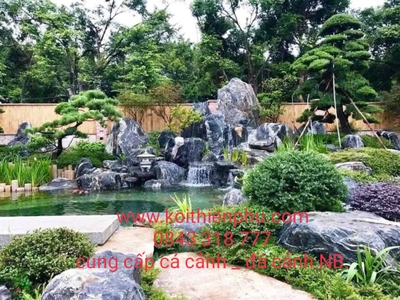 Tư vấn hồ Koi chuyên nghiệp đà nẵng 3