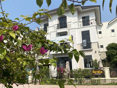 Biệt thự phố 1
