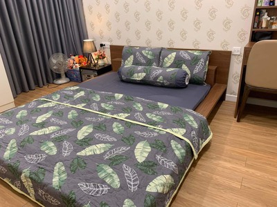 Cần cho thuê căn hộ Diamond Lotus Phúc Khang 2