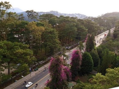 Cho thuê căn hộ panaroma phường 10 đà lạt 3