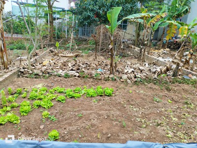 Duy nhất bán 46,8m đất  cổ điển hải bối ôtô vào nhỉnh 1 tỷ kcn bắc thăng long 1km 3