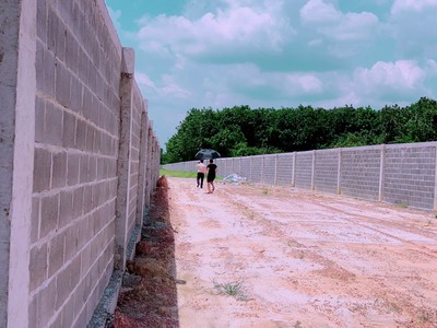 Bán đất mặt tiền ĐH 619 Long Nguyên - Bàu Bàng. DT 2,68Ha 1