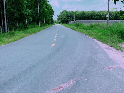 Bán đất mặt tiền ĐH 619 Long Nguyên - Bàu Bàng. DT 2,68Ha 0