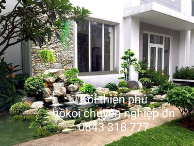Tư vấn hồ Koi chuyên nghiệp Koi đẹp đà nẵng 1