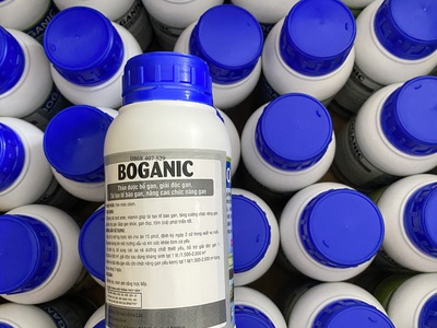 Boganic cao thảo dược bổ gan, giải độc gan 4