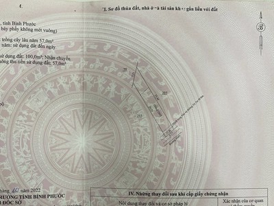 Cần tiền xây nhà nên bán gấp 2 lô đất diện tích 5x50m mặt tiền đường nhựa 12m 3