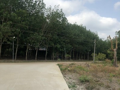 Chính chủ có lô đất giá rẻ 2