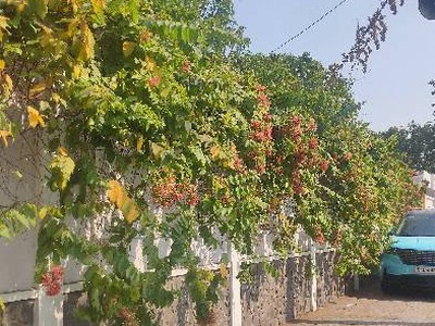 Siêu biệt thự xa hoa 1054 m2, 3 tầng, sát đỗ xuân hợp, phước long a, q9 nhỉnh 100 tỷ 4