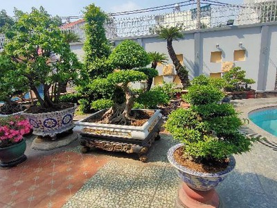 Siêu biệt thự xa hoa 1054 m2, 3 tầng, sát đỗ xuân hợp, phước long a, q9 nhỉnh 100 tỷ 2