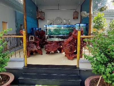 Siêu biệt thự xa hoa 1054 m2, 3 tầng, sát đỗ xuân hợp, phước long a, q9 nhỉnh 100 tỷ 3