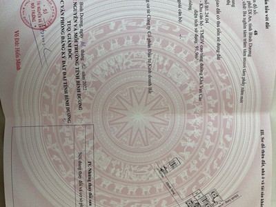 Căn hộ chung cư cực đẹp chính chủ cần bán tại khu chdv cao tầng đường kha vạn cân 0