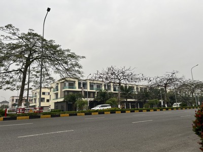 Gia đình cần bán nhanh căn shophouse trục chính đường 56m khu đô thị centa city từ sơn 4