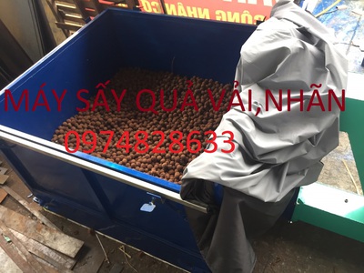 Lò sấy vải,nhãn tốc độ nhanh 2