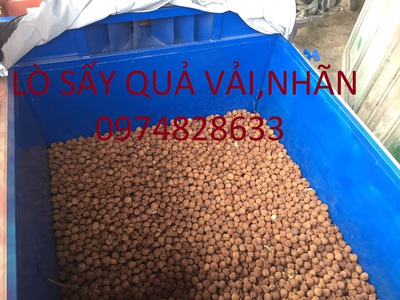 Lò sấy vải,nhãn tốc độ nhanh 1