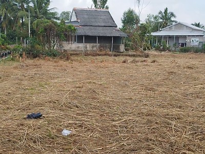Bán nhà đất gần 1.700m  đường thủ khoa huân sa đéc, đồng tháp 3