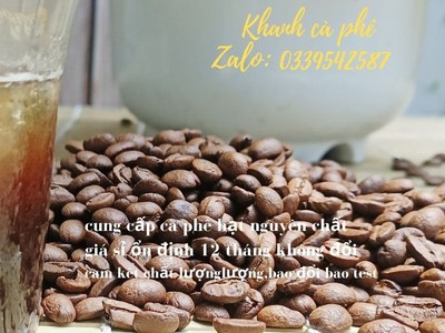 Cà phê hạt pha máy tại Cưjut-Đăknong, giá bán sỉ ổn định 2