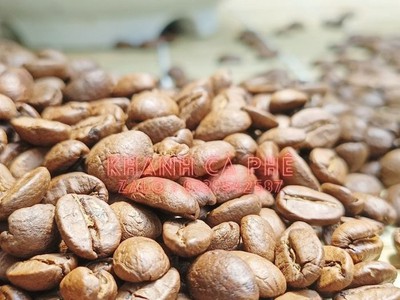 Cà phê hạt pha máy tại Cưjut-Đăknong, giá bán sỉ ổn định 1